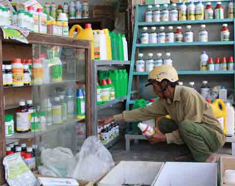 Người dân tìm mua thuốc bảo vệ thực vật tại một đại lý ở thị trấn M'Đrắk 