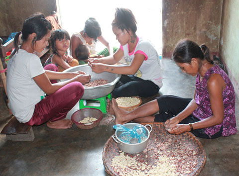 Các thành viên trong gia đình ông Y Kim Niê ở buôn Cư Ana Săn (xã Ea Sô, huyện Ea Kar)  nhận hạt điều về bóc vỏ kiếm thêm thu nhập.