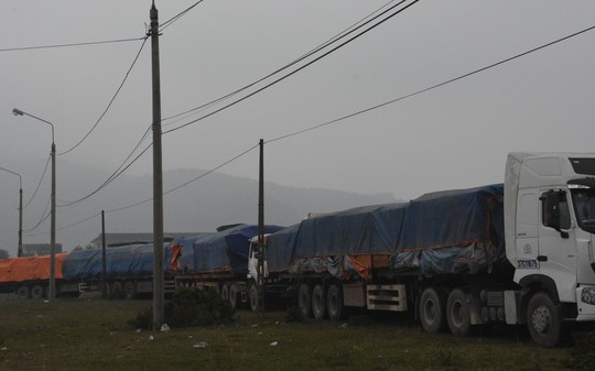 Đoàn xe gỗ chở quá tải từ Lào về bị lực lượng chức năng Hà Tĩnh bắt giữ ngày 4-2 Ảnh: Đức Ngọc