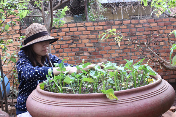 Chị Ngân (phường Tân Thành) tận dụng các khoảng đất trống, chậu, thùng xốp  để tự trồng rau sạch.