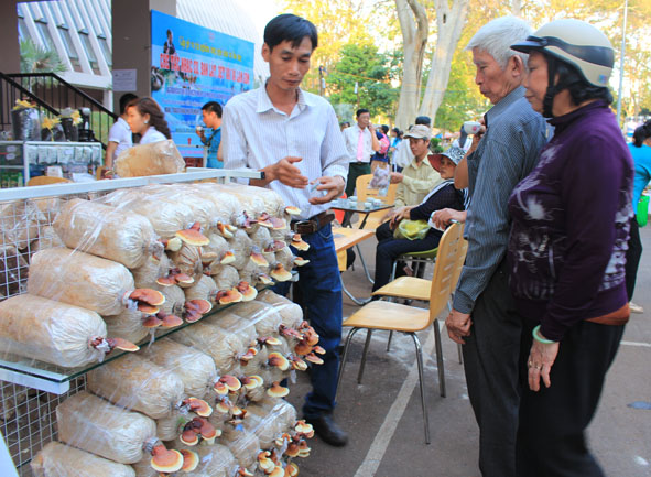 Nhân viên Công ty Đất Đỏ giới thiệu sản phẩm nấm linh chi cho người tiêu dung trong lễ hội Cà phê Buôn Ma Thuột lần thứ V