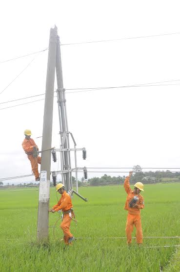 Công nhân Điện lực Nam Buôn Ma Thuột đang khắc phục sự cố gãy cột điện do lốc xoáy xảy ra ngày 19-7-2014 