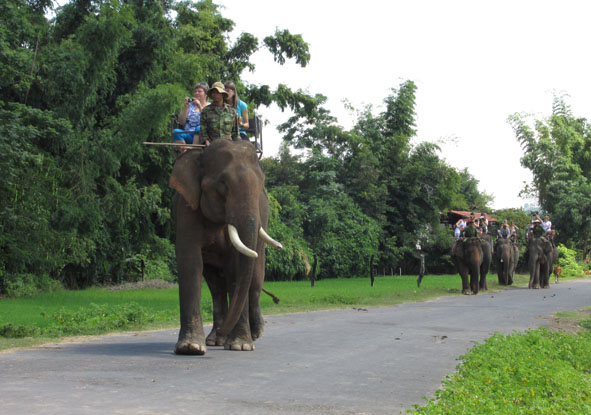 Khách du lịch tham quan, cưỡi voi ở huyện Lắk.