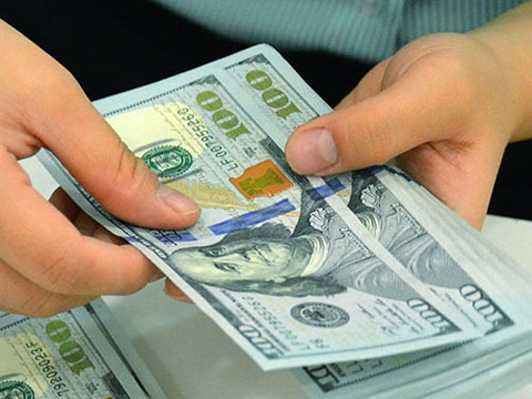USD trong các ngân hàng thương mại Việt Nam giảm mạnh sau khi Cục Dự trữ Liên bang Mỹ quyết định không tăng lãi suất Ảnh: TẤN THẠNH