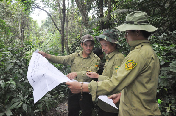 Cán bộ Vườn Quốc gia Chư Yang Sin kiểm tra các khu vực cấp đất chồng lấn.