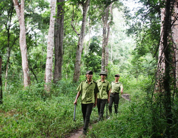 Kiểm lâm Khu Bảo tồn thiên nhiên Ea Sô tuần tra, bảo vệ rừng ở khu vực giáp ranh với huyện Krông Pa (Gia Lai). 