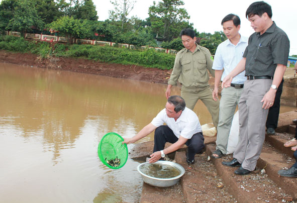 Chi cục Thủy sản thả cá bổ sung nguồn lợi thủy sản ở hồ Ea Đrăng (huyện Ea H’leo). 