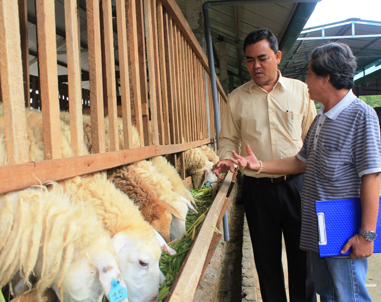 Đại diện Công ty Cổ phần ĐT XNK Phước Thành giới thiệu mô hình chăn nuôi cừu sinh sản  Phó Bí thư Tỉnh ủy, Chủ tịch HĐND tỉnh Y