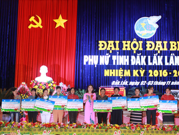 Chủ tịch Hội LHPN tỉnh Nguyễn Thị Thu Nguyệt trao bảng tượng trưng tặng bò cho các hộ có hoàn cảnh khó khăn.