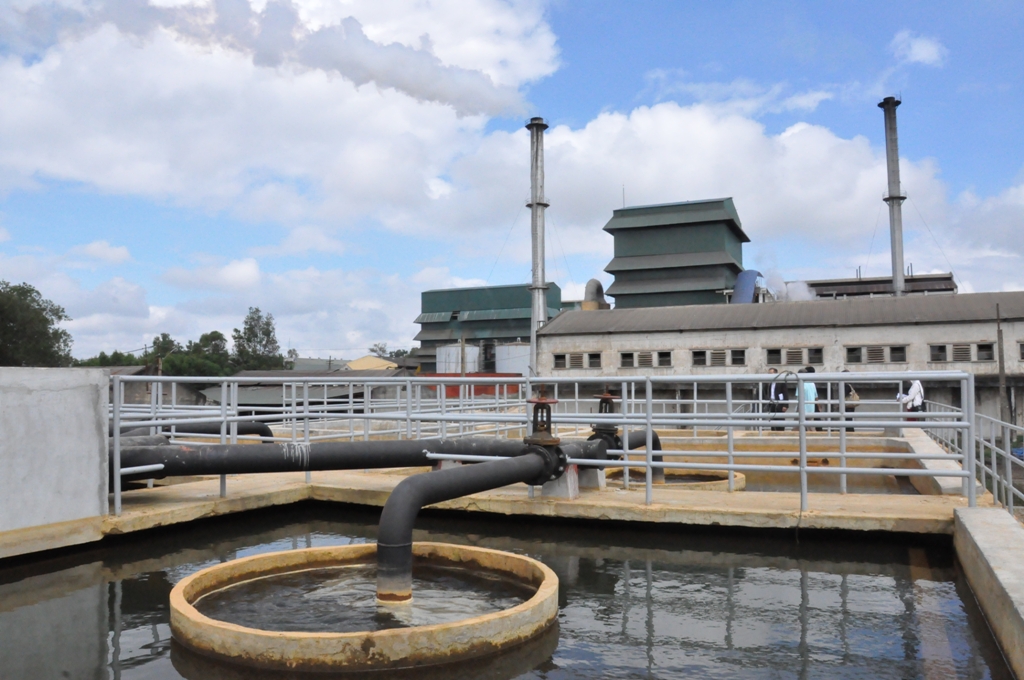 Khu vực xử lý nước thải của một doanh nghiệp trên địa bàn tỉnh