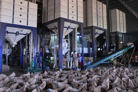 Một góc phân xưởng đóng bao sản phẩm nông sản của Công ty 2-9. 