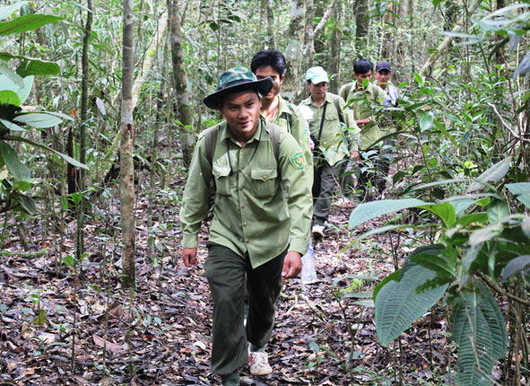 Tuần tra bảo vệ rừng ở VQG Chư Giang Sin.