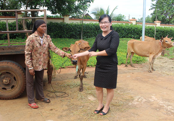 Đại diện Hội LHPN thị xã Buôn Hồ trao bò cho phụ nữ nghèo.