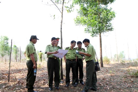 Kiểm tra thực địa công trình PCCCR trên diện tích rừng của Công ty TNHH Tín Phát .