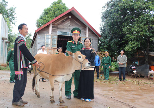 Ban Chỉ huy Quân sự huyện Krông Pắc hỗ trợ bò giống cho gia đình ông Y Trí B'dap.
