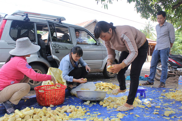 Chọn mua măng tươi tại xã Ea Bung, huyện Ea Súp. Ảnh: Thanh Hường