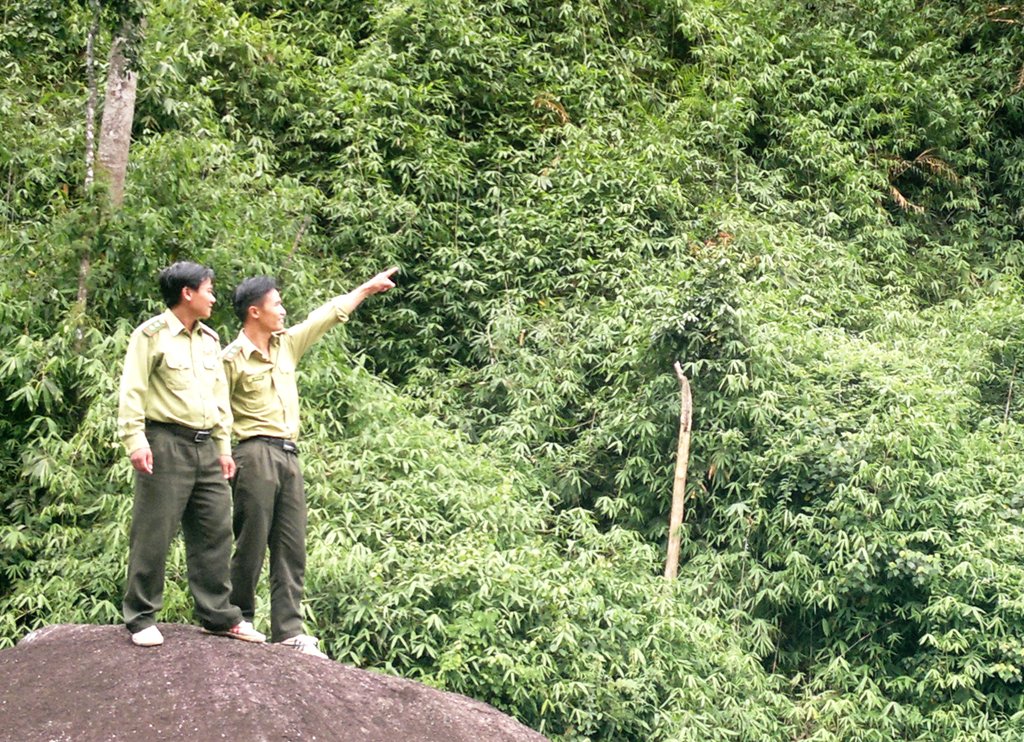 Tuần tra rừng ở Vườn Quốc gia Chư Yang Sin.  Ảnh: Lê Hương