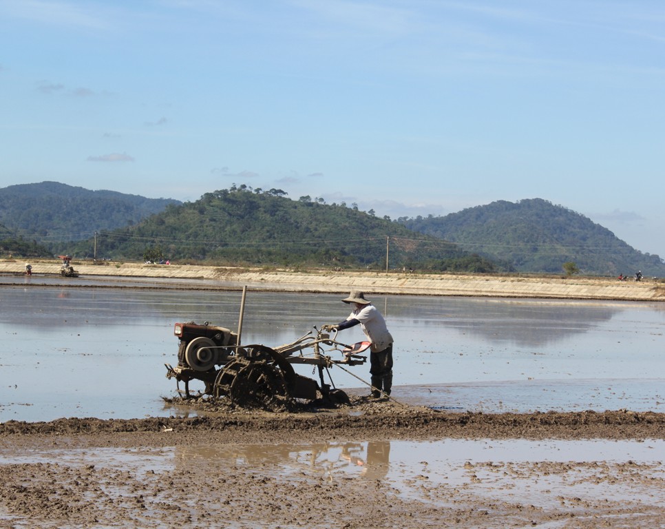 Người dân xã Quảng Điền, huyện Krông Ana làm đất lúa vụ hè thu