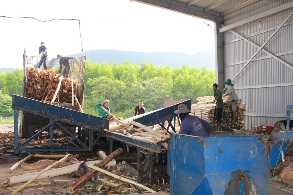 Xưởng sản xuất dăm gỗ của HTX Tiến Nam tại xã Cư Króa (huyện M’Đrắk).