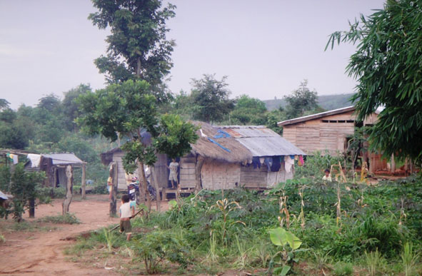 Nhiều hộ dân ở huyện Krông Búk đang thiếu đất sản xuất.
