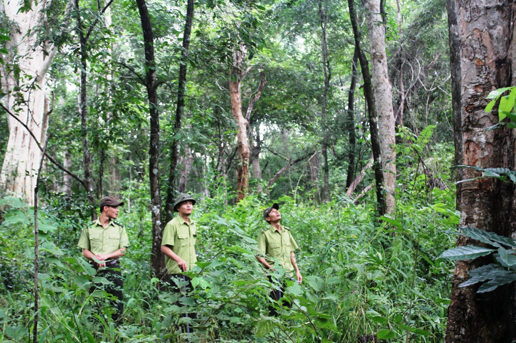 Tuần tra bảo vệ rừng ở Khu bảo tồn thiên nhiên Ea Sô.