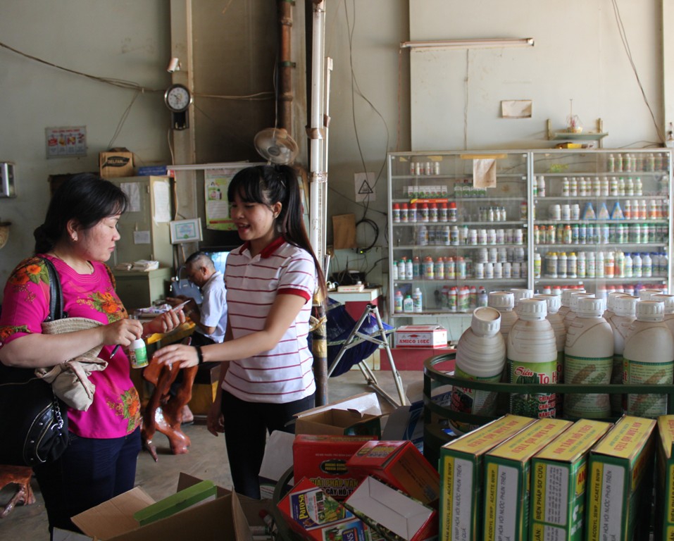 Một cơ sở kinh doanh phân bón, thuốc bảo vệ thực vật tại xã Ea H'đinh, huyện Cư M'gar