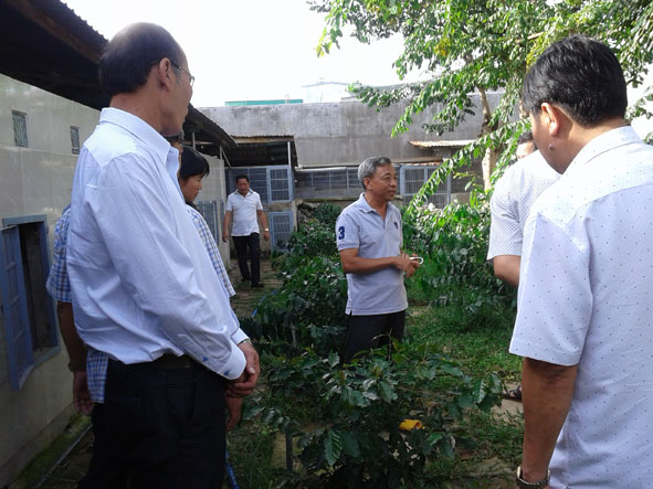 Du khách thăm cơ sở nuôi chồn và chế biến sản phẩm cà phê chồn Kiên Cường.