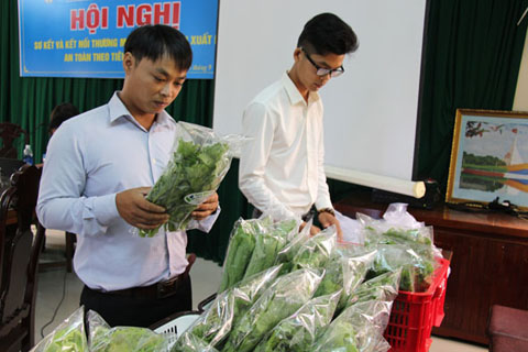 Người tiêu dùng tìm hiểu về sản phẩm rau đạt tiêu chuẩn VietGAP của Công ty TNHH H.T FARM.