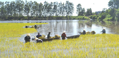Vùng hạ du của hồ Krông Búk Hạ bị ngập lụt trong đợt mưa lớn hồi giữa tháng 5-2017.  