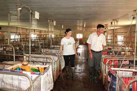 Cán bộ  Trạm  Chăn nuôi -  Thú y  huyện  Ea Kar  kiểm tra điều kiện chăn nuôi  an toàn  tại trang trại của gia đình chị Nguyễn Thị Ly.   