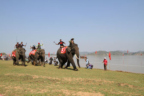 Lễ hội đua voi, sản phẩm đặc thù hấp dẫn du khách của du lịch Đắk Lắk.