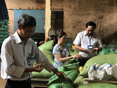 Cán bộ Chi cục Thuế huyện Cư M’gar kiểm tra một doanh nghiệp kinh doanh nông sản trên địa bàn.  