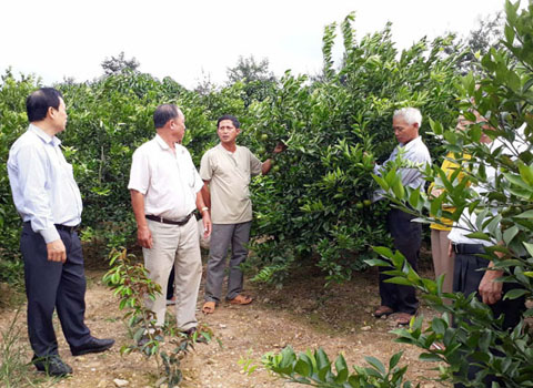 Ông Phạm Văn Trọng (thứ 3, từ trái sang) trao đổi kinh nghiệm sản xuất với các hội viên nông dân thôn 11. 