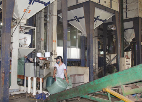 Một dự án chế biến cà phê hoạt động trong Khu công nghiệp Hòa Phú