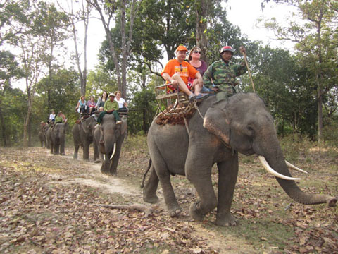 Du khách nước ngoài cưỡi voi tham quan VQG Yok Đôn.