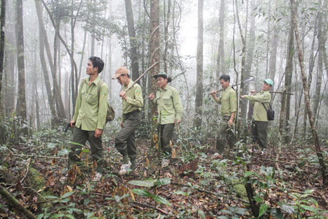 Kiểm lâm Vườn Quốc gia Chư Yang Sin tuần tra bảo vệ rừng. 