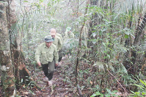 Kiểm lâm Vườn Quốc gia Chư Yang Sin tuần tra bảo vệ rừng.     