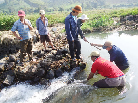 Thành viên Tổ hợp tác dùng nước Hòa Phong dẫn nước vào sản xuất vụ đông xuân. 