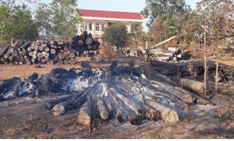 Bãi gỗ do Hạt kiểm lâm huyện Ea Súp tập kết bị cháy. (Ảnh cơ quan chức năng cung cấp)