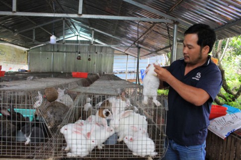 Anh Đặng Thanh Vũ kiểm tra đàn thỏ trong trang trại của gia đình. 