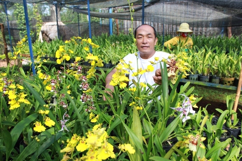 Trồng hoa lan bằng giống nuôi cấy mô - mô hình nông nghiệp ứng dụng công nghệ cao tại thị trấn Ea Pốk, huyện Cư M'gar