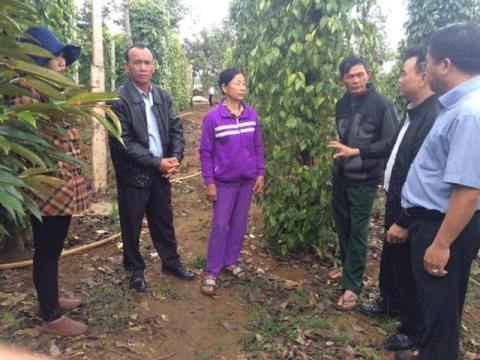 Cán bộ Hội nông dân tỉnh tìm hiểu tình hình dịch bệnh trên cây sầu riêng trên địa bàn huyện