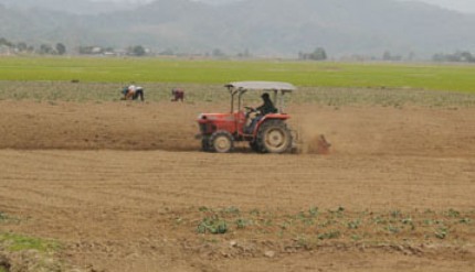 Nông dân  xã Buôn Triết  (huyện Lắk) đang làm đất  để trồng  khoai lang.  