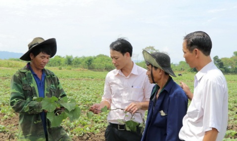 Cán bộ Phòng Nông nghiệp và Phát triển nông thôn huyện Lắk trao đổi với người dân về phương pháp gieo trồng cây khoai lang