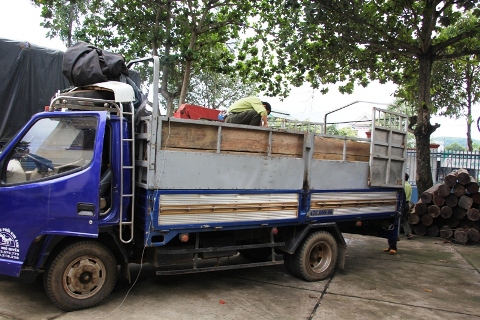 Một xe chở gỗ lậu bị lực lượng chức năng thu giữ (Ảnh minh họa)