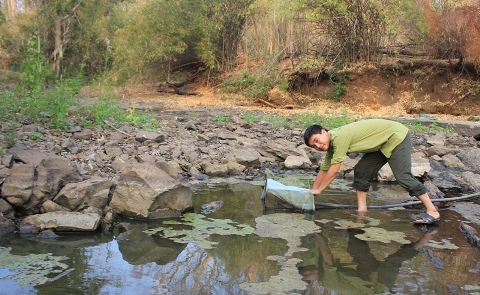 Kiếm lâm Vườn Quốc gia Yok Đôn bơm nước đọng từ suối để tắm, giặt trong mùa khô