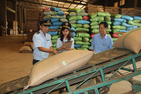 Cán bộ Hải quan Đắk Lắk kiểm tra mặt hàng cà phê xuất khẩu tại một doanh nghiệp trên địa bàn