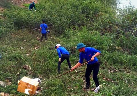 đoàn viên thanh niên tham gia, đã diệt trừ được hơn 1,5 ha cây mai dương quanh bờ Hồ Sen.