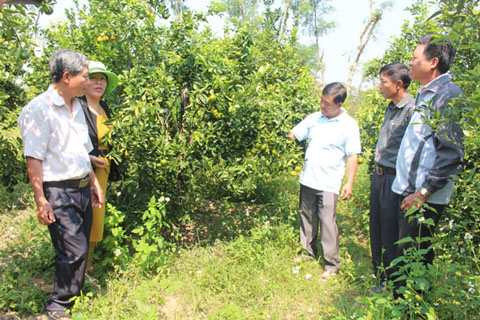 Cán bộ Hội Nông dân tỉnh tham quan mô hình sản xuất giỏi của hội viên nông dân xã Cư Elang, huyện Ea Kar.