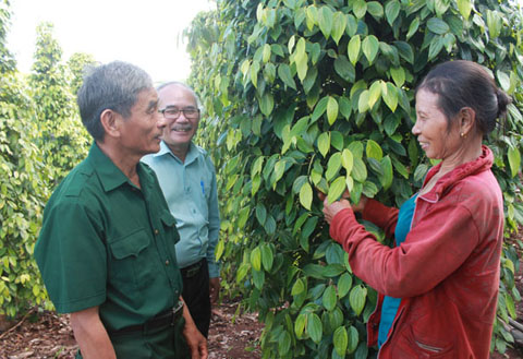 Cán bộ  Hội Cựu TNXP huyện Ea H’leo thăm mô hình  kinh tế của gia đình bà Đỗ Thị Bính. 